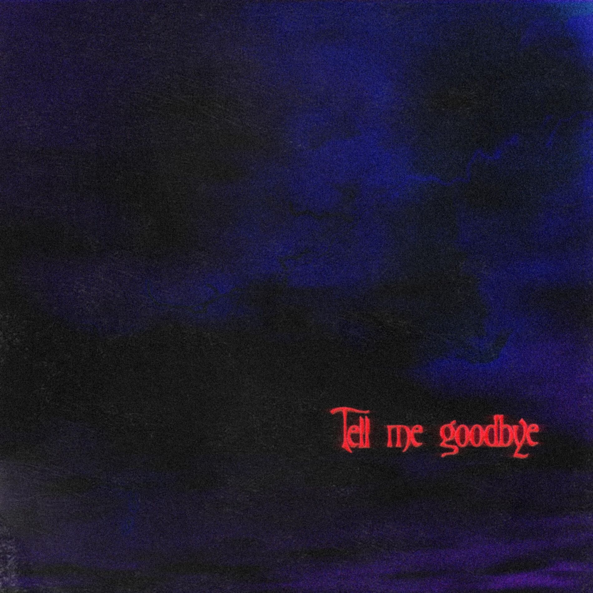 Album cover of Tell Me Goodbye (feat. Nikki Idol)