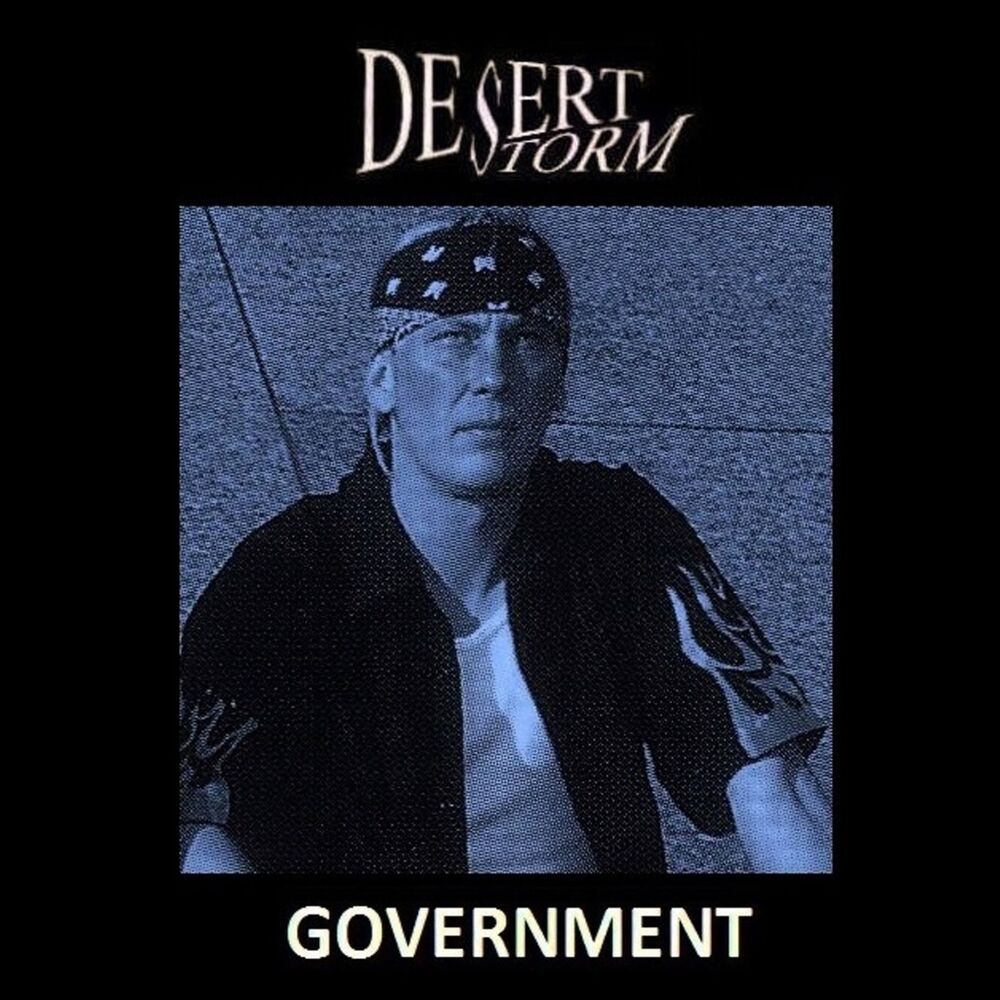 Picture of Government 2015