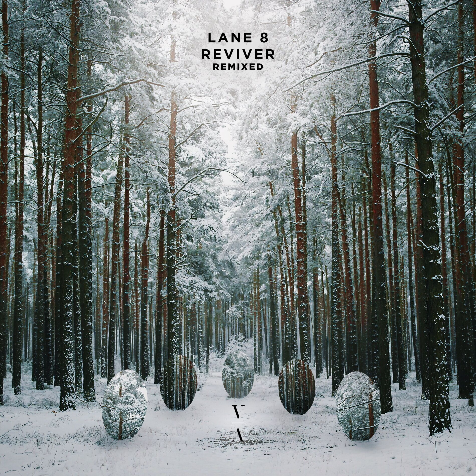 Album cover of Reviver Remixed