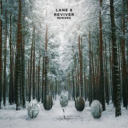 Cover of Reviver Remixed