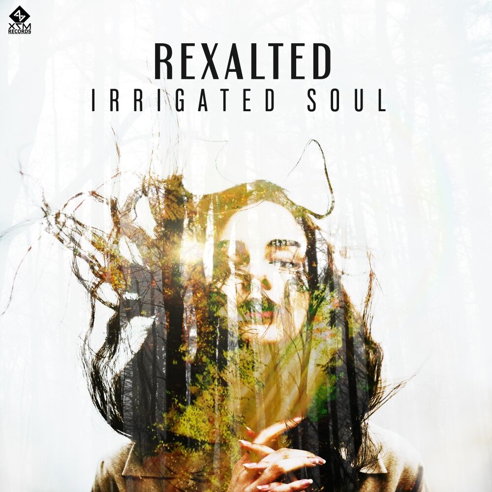 Picture of Irrigated Soul