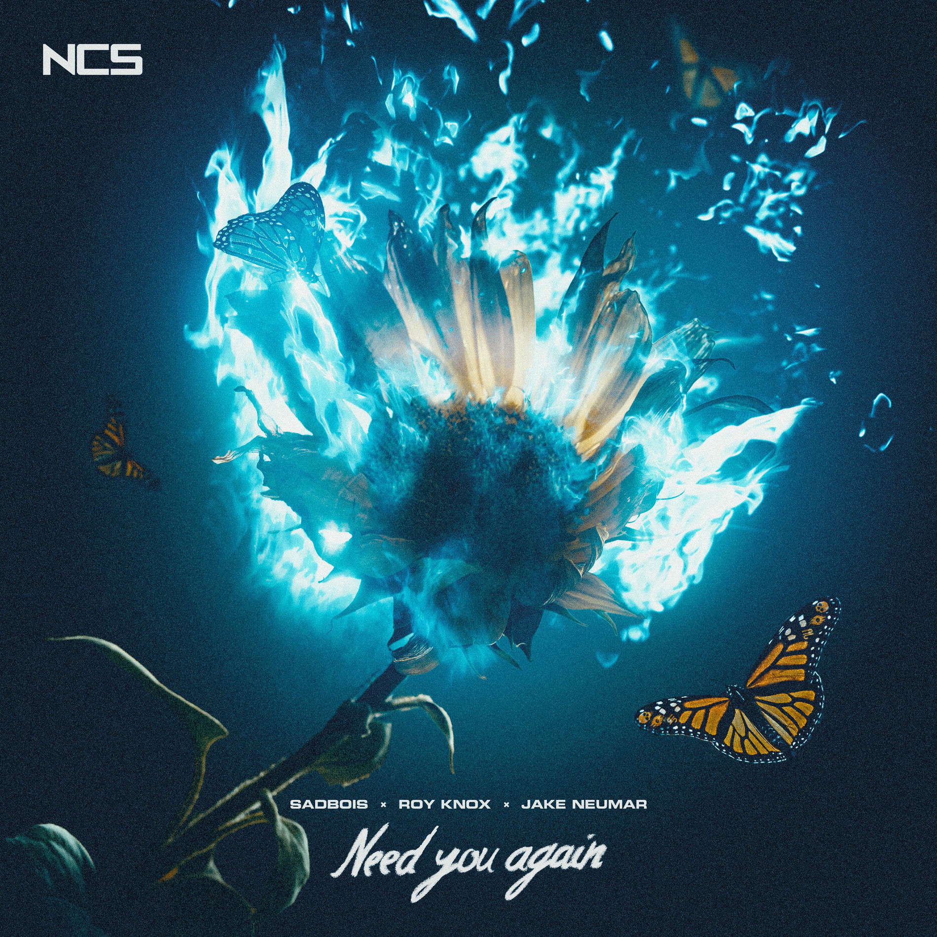 Album cover of Need You Again