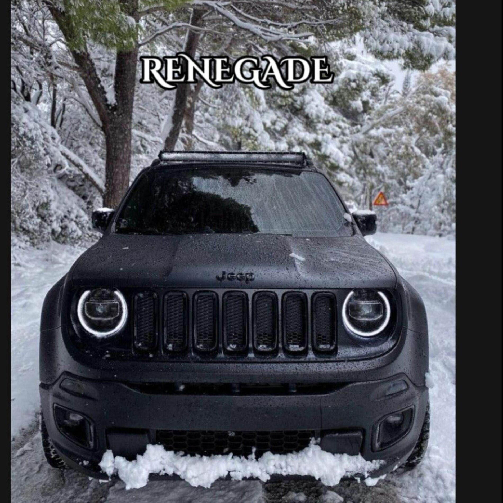 Album cover of RENEGADE