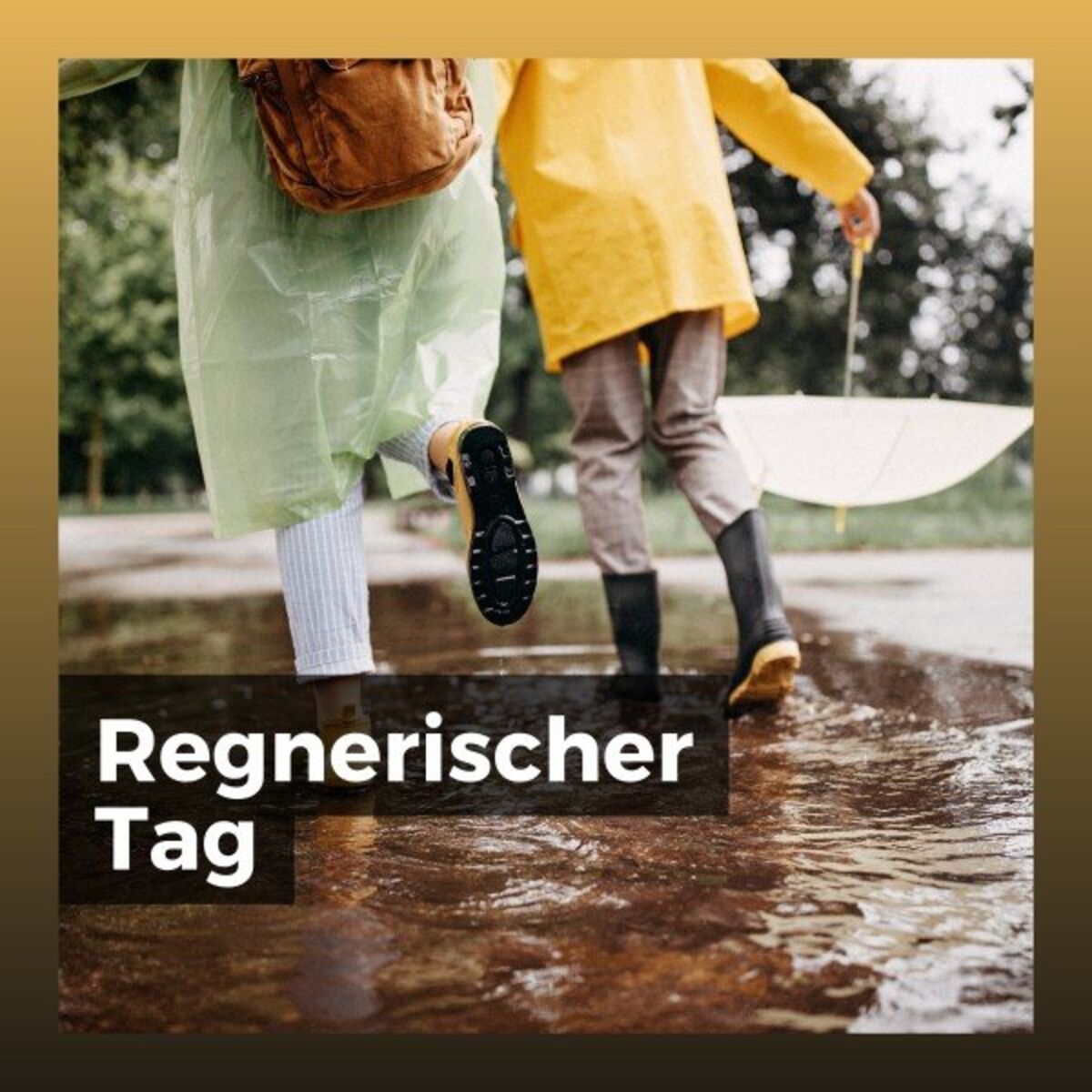 Album cover of Entspannender Regen