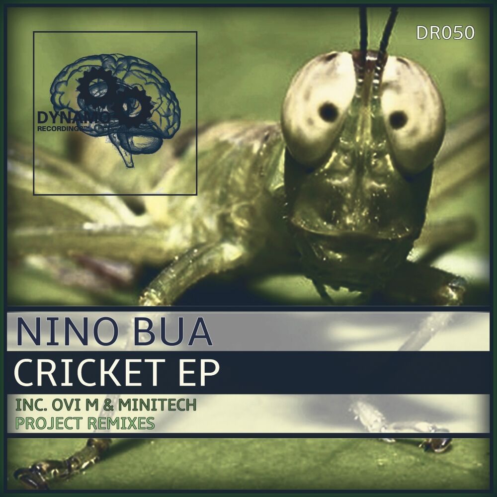 Picture of Cricket EP