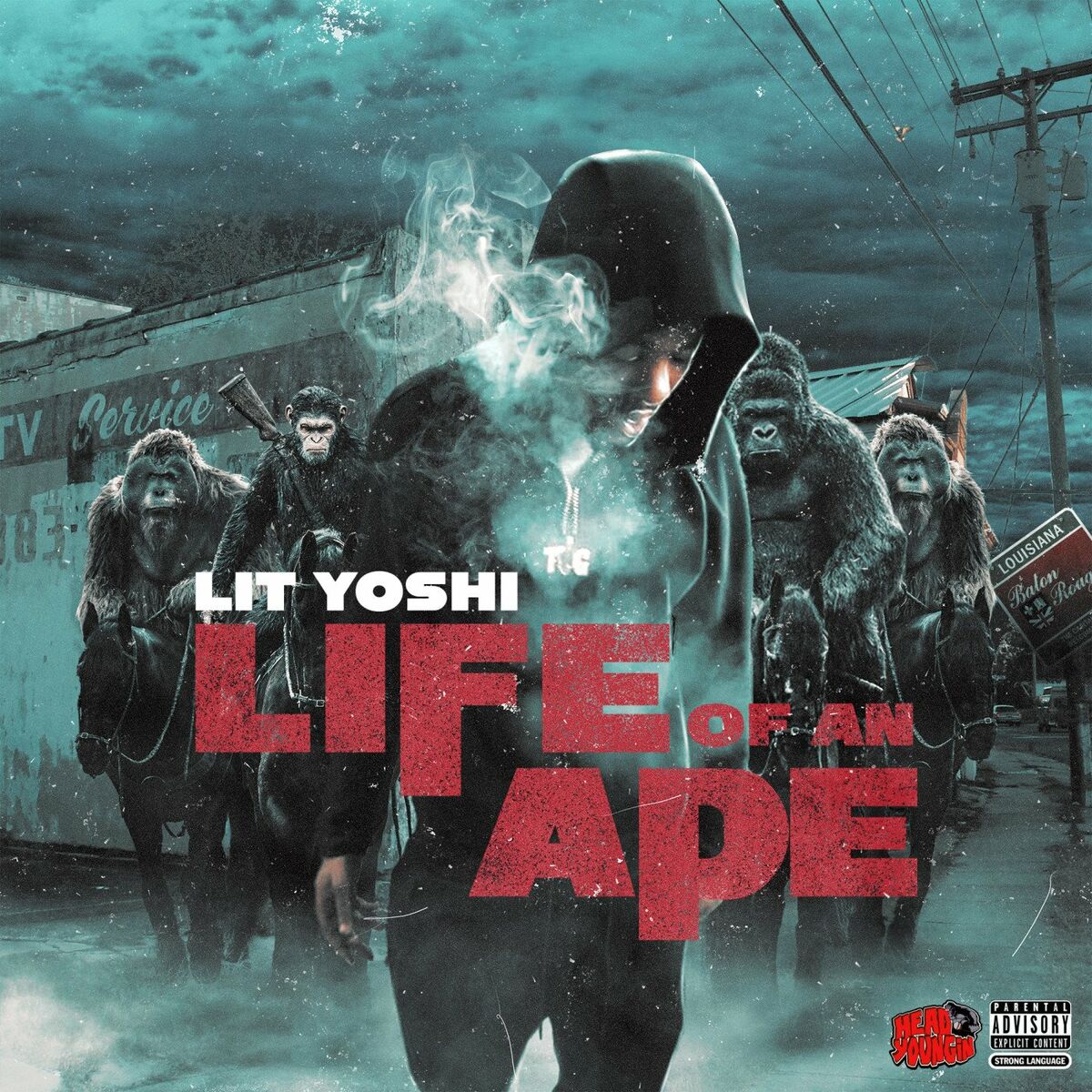 Album cover of Life of An Ape
