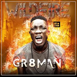 Cover of WildFire
