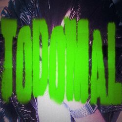 Cover of TODOMAL