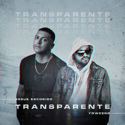 Cover of Transparente