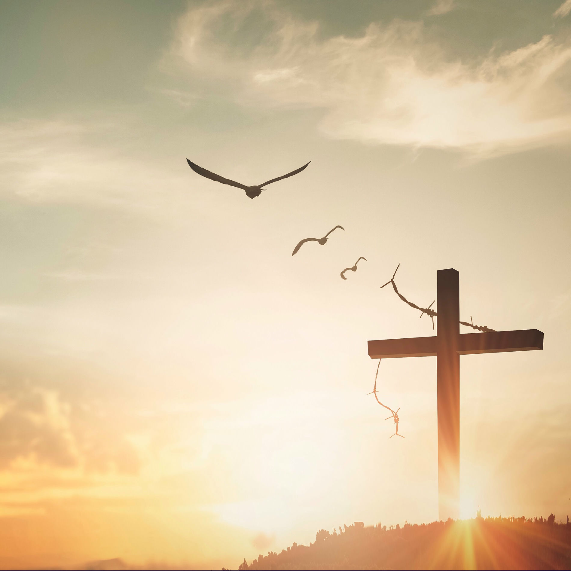 Album cover of Baptism