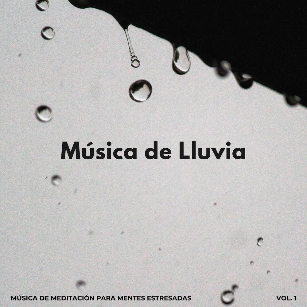 Picture of Música De Lluvia: Música De Meditación Para Mentes Estresadas Vol. 1