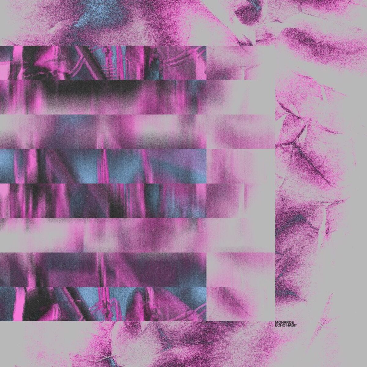Album cover of Echo Habit