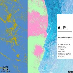 Cover of Nothing Is Real
