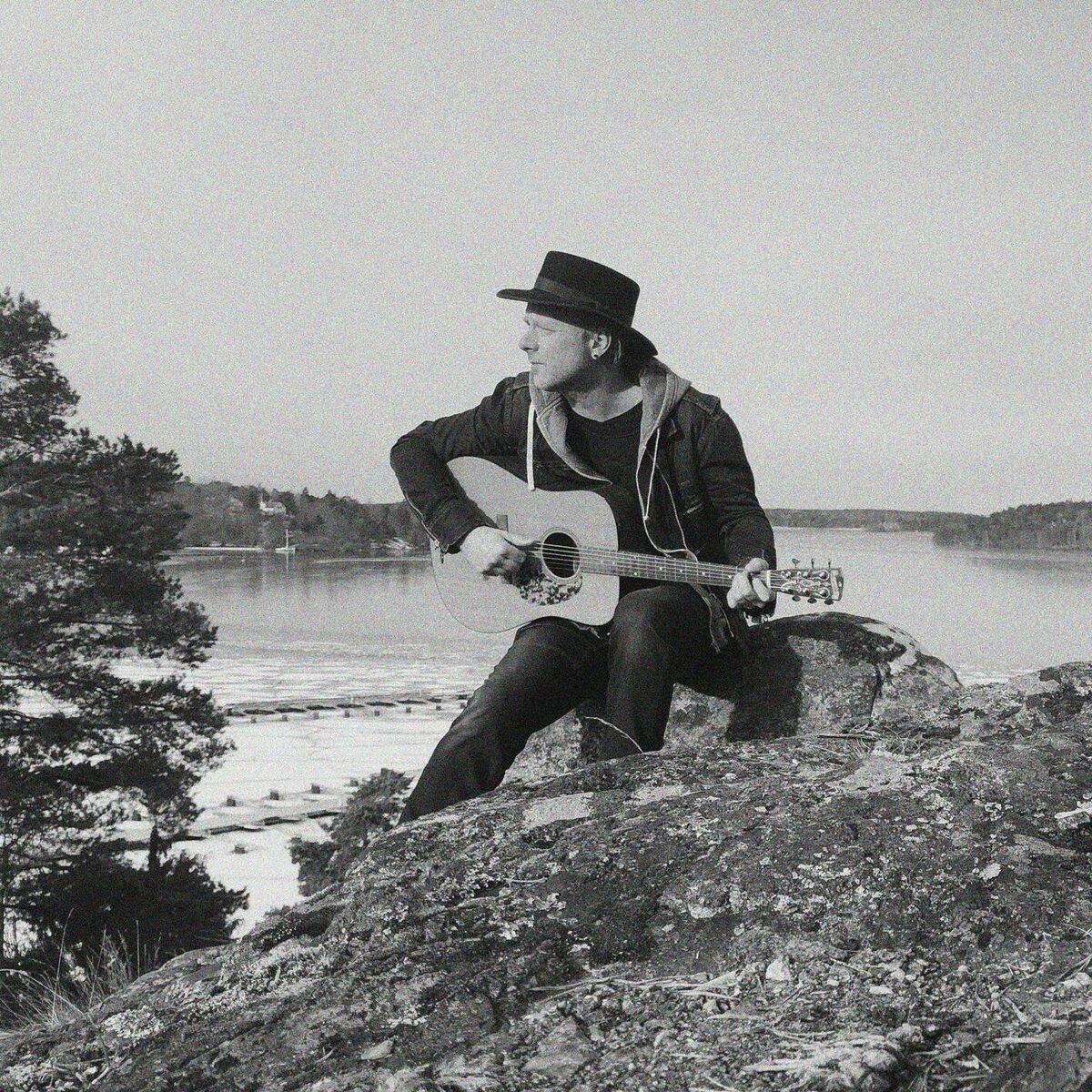 Album cover of Guitar Covers (Vol. 5)