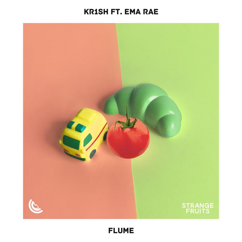 Picture of Flume (feat. Ema Rae)