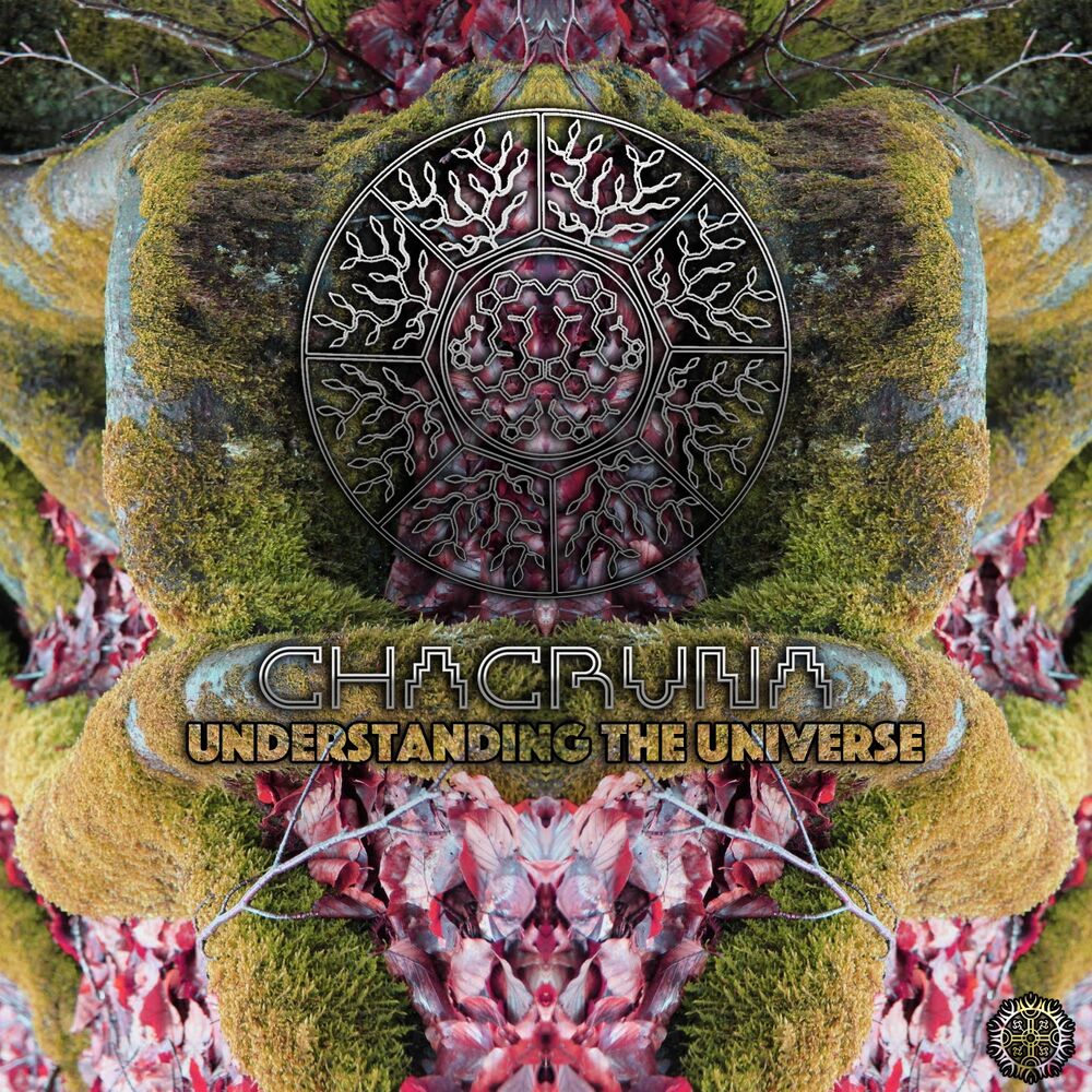 Picture of Understanding the Universe