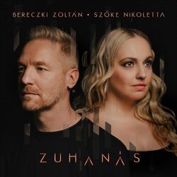 Cover of Zuhanás