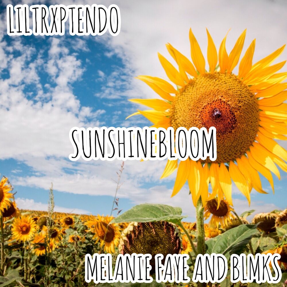 Picture of SunshineBloom