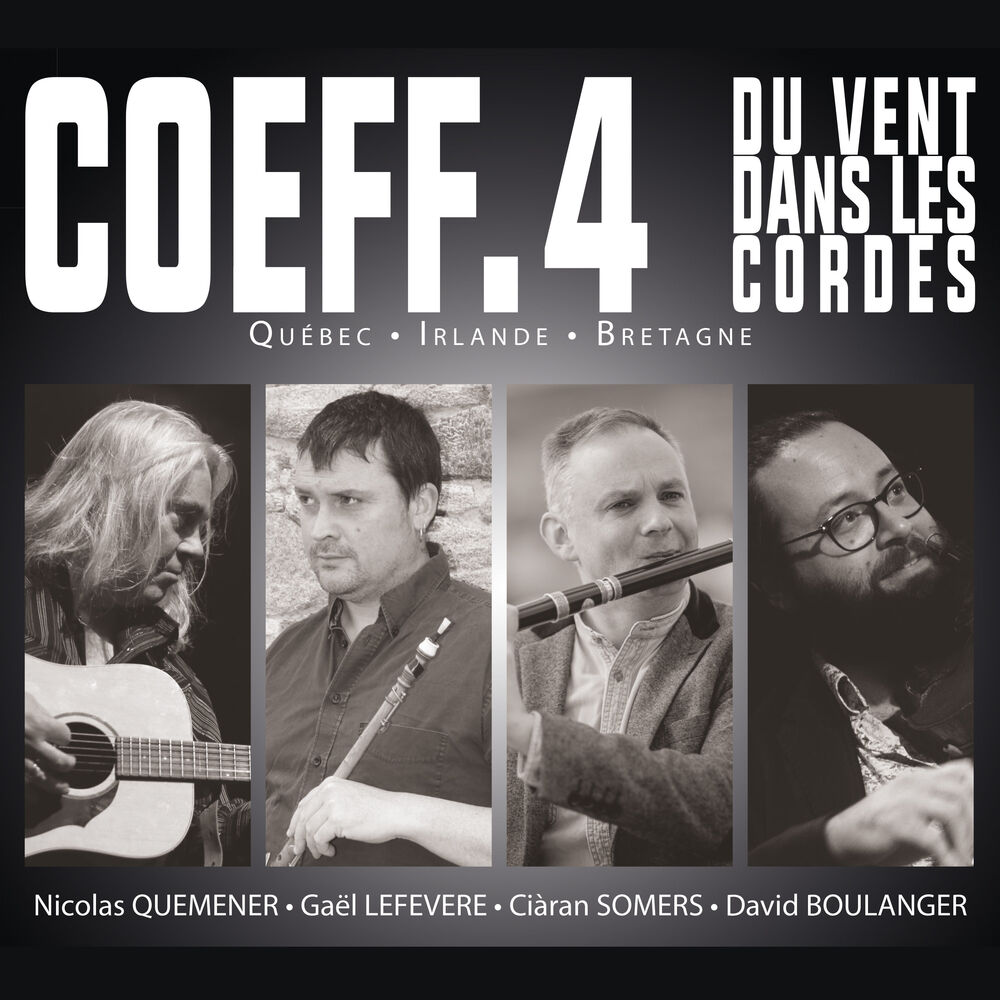 Picture of Du vent dans les cordes