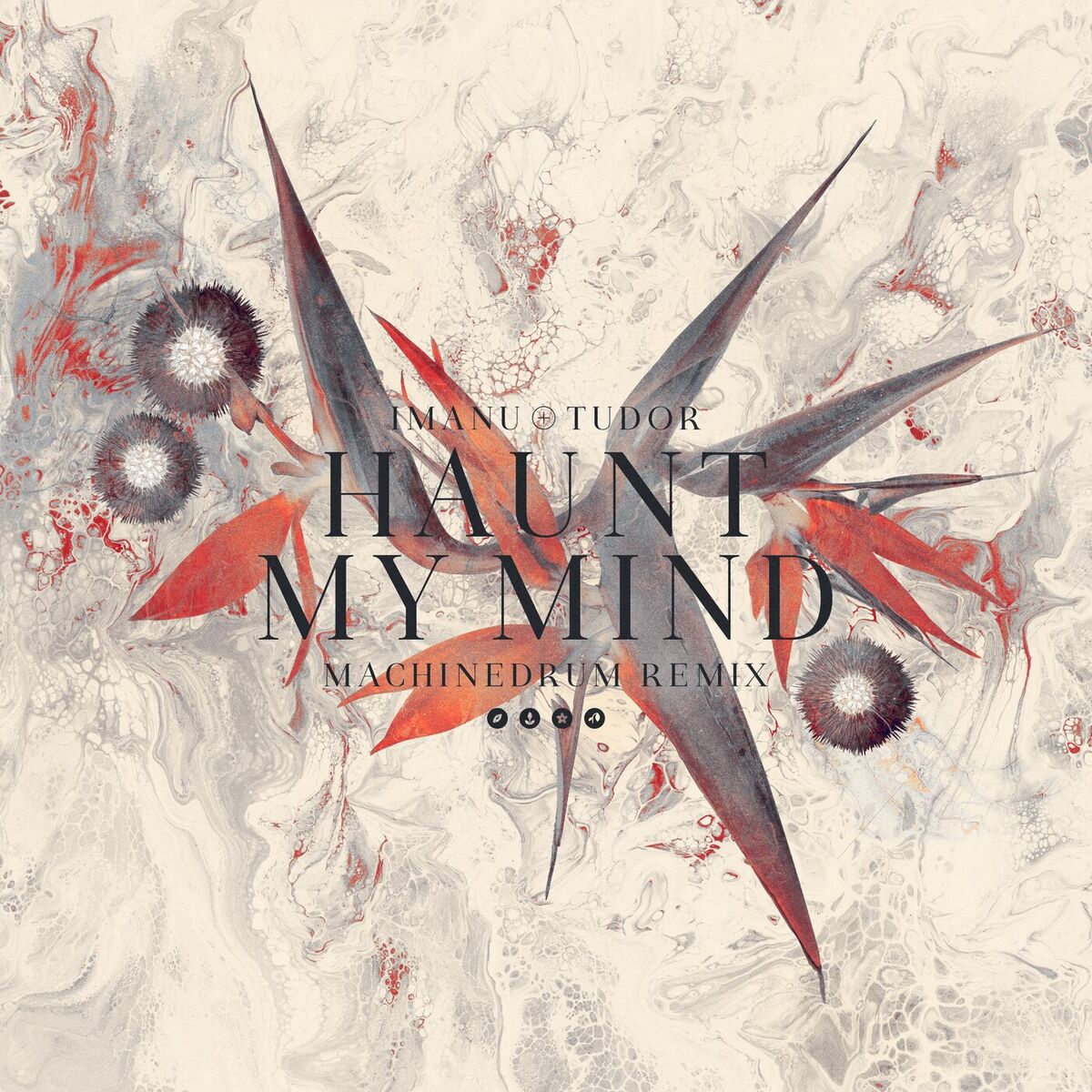 Album cover of Haunt My Mind (Machinedrum Remix)