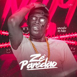 Cover of Ninguém Ta Puro