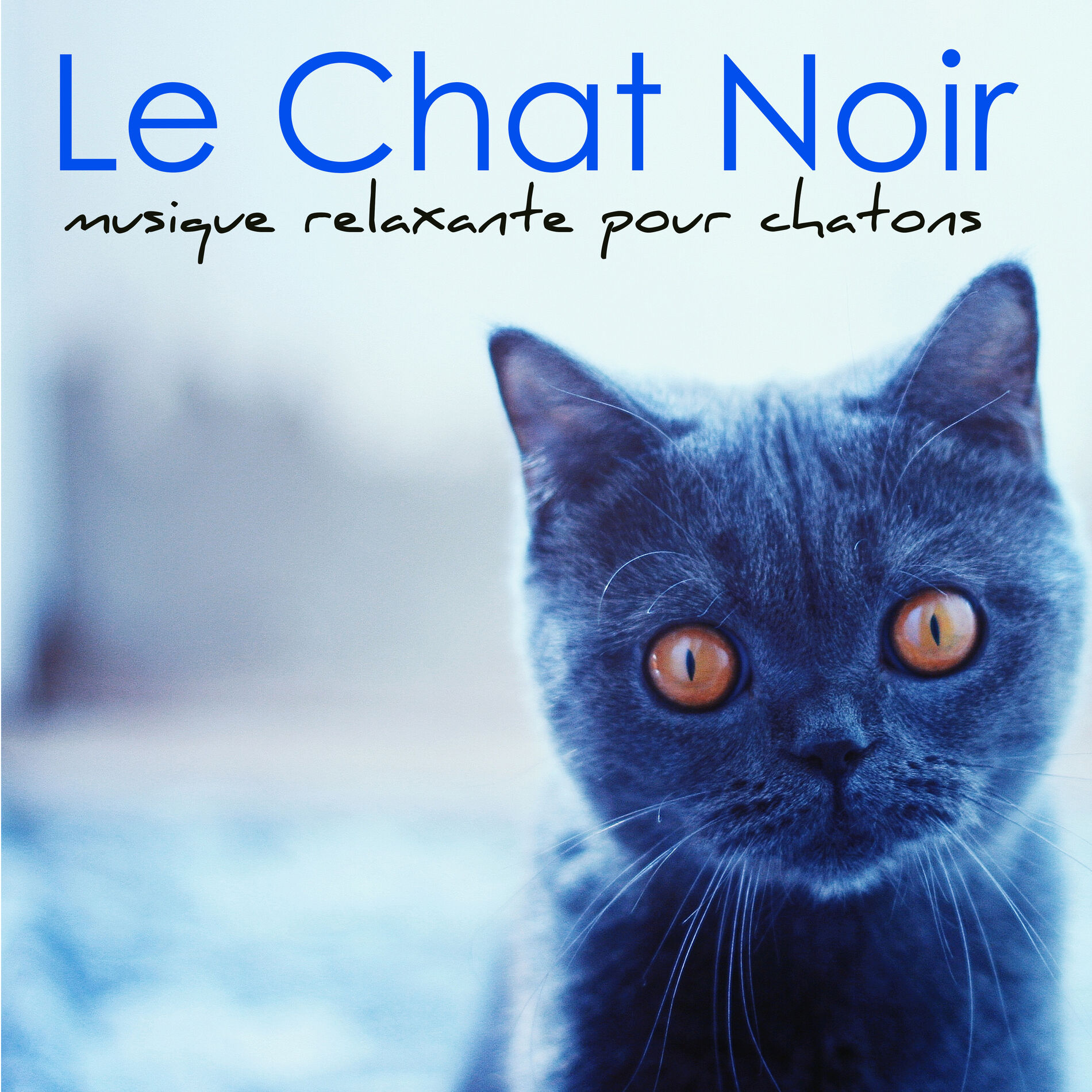 Album cover of Détente pour animaux