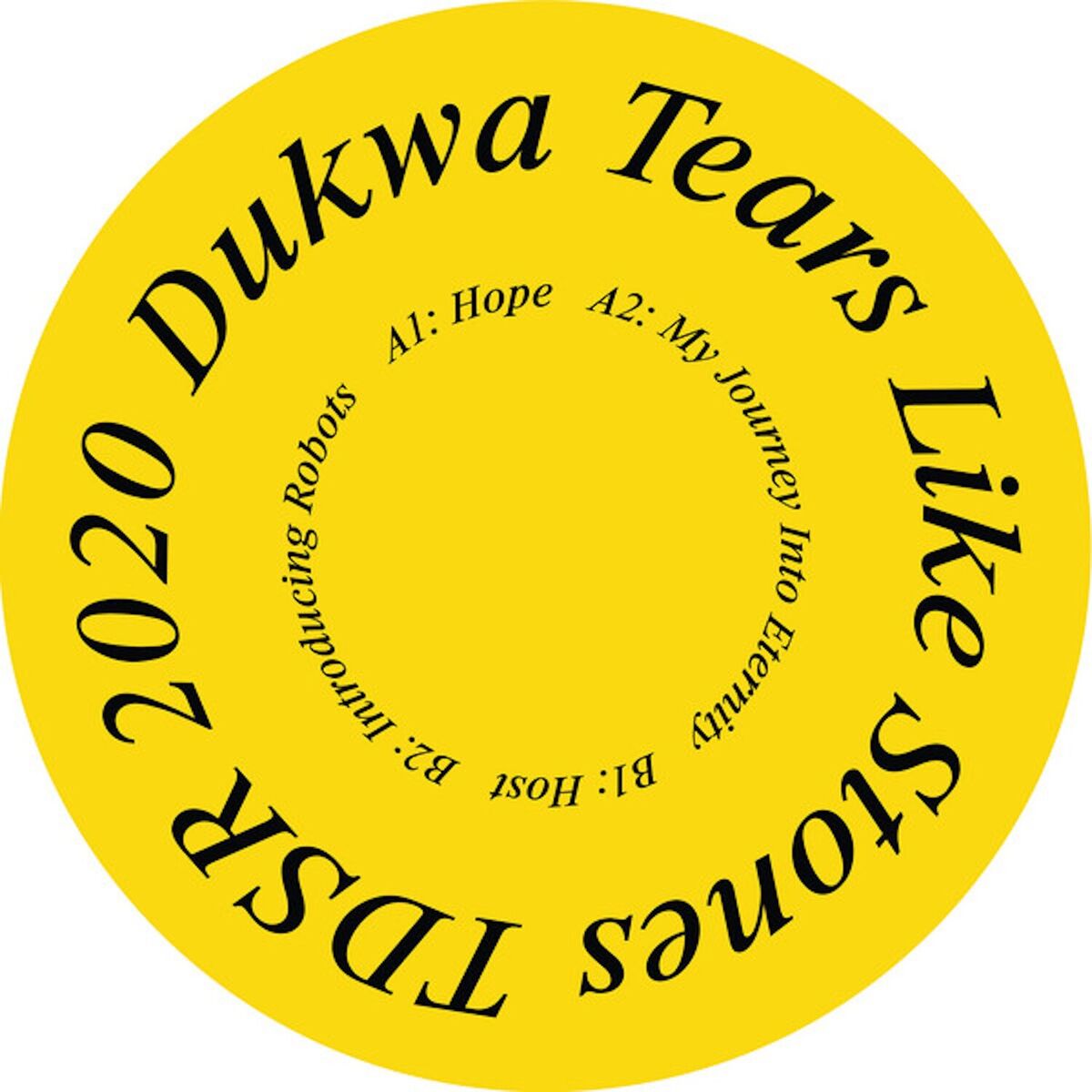 Album cover of Tears Like Stones