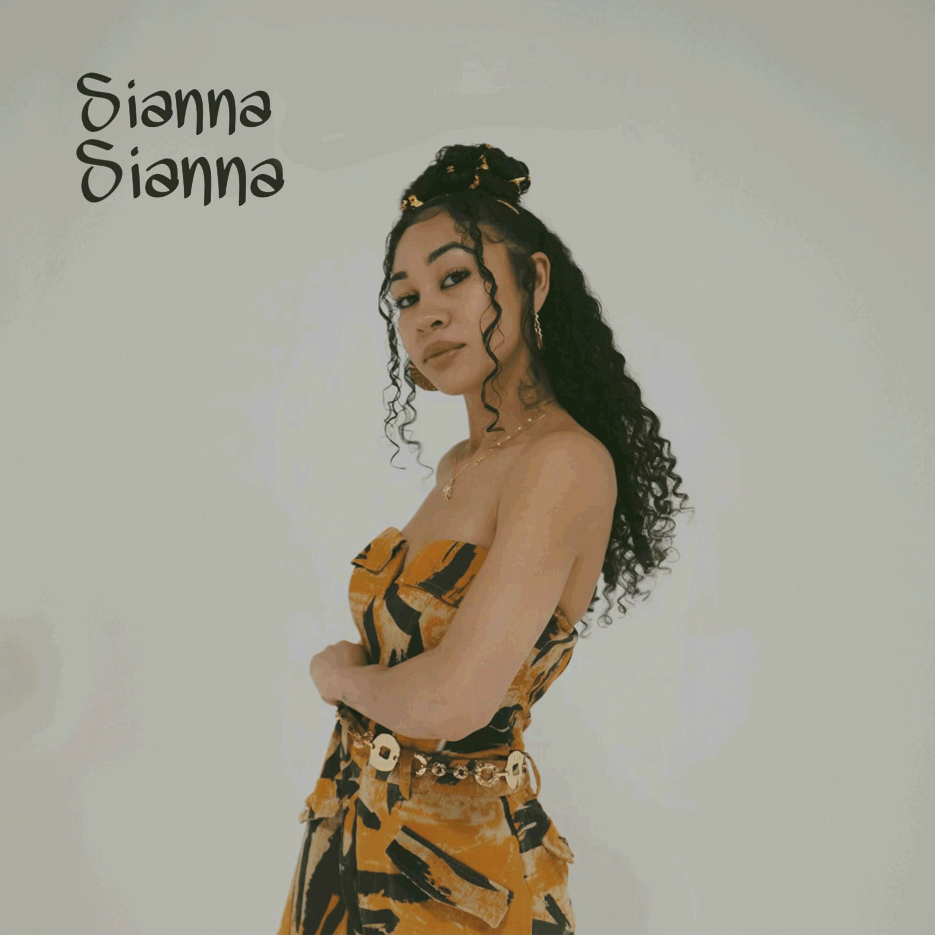 Album cover of Sianna Sianna