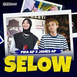 Cover of Selow
