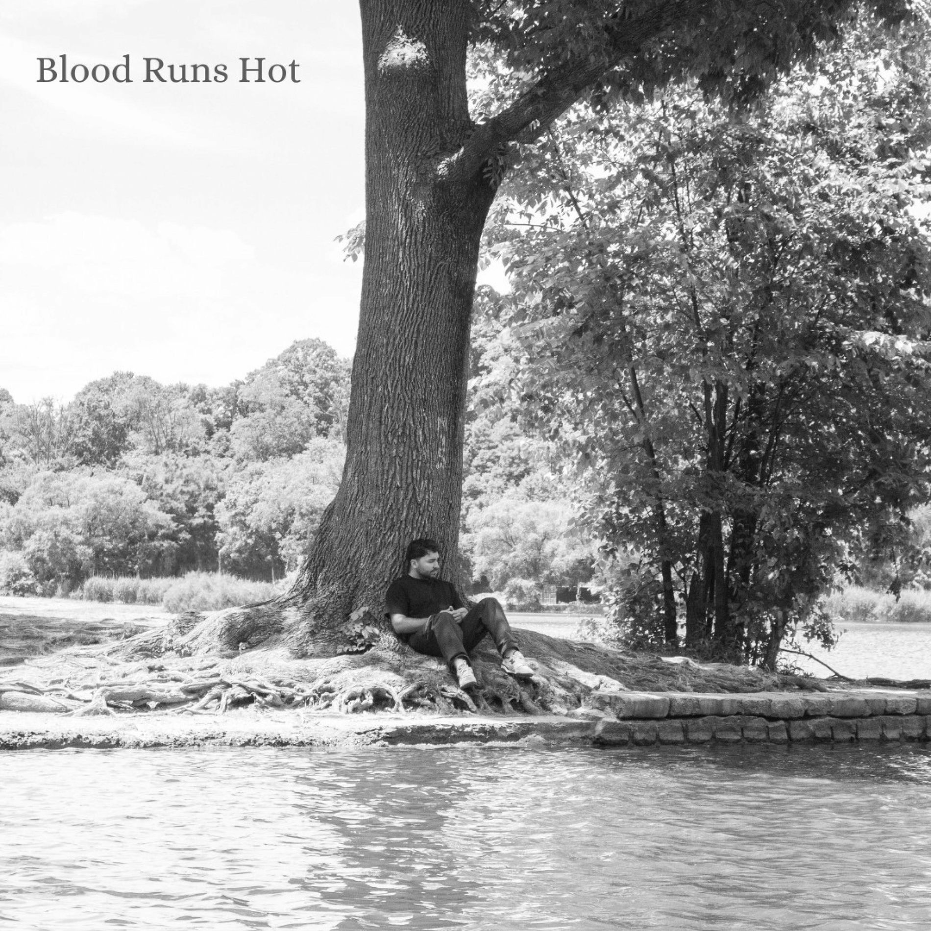 Album cover of Blood Runs Hot