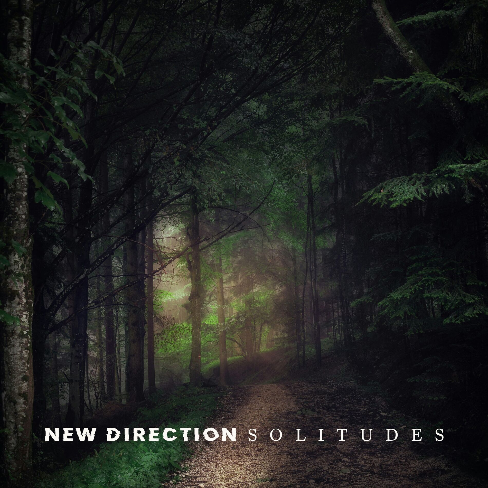 Album cover of New Direction