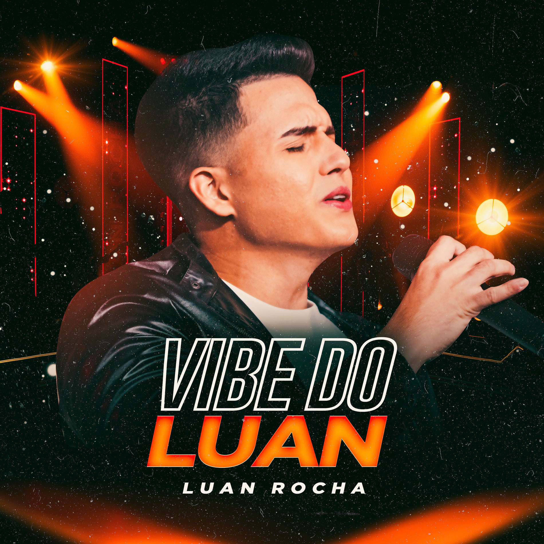 Album cover of Vibe do Luan