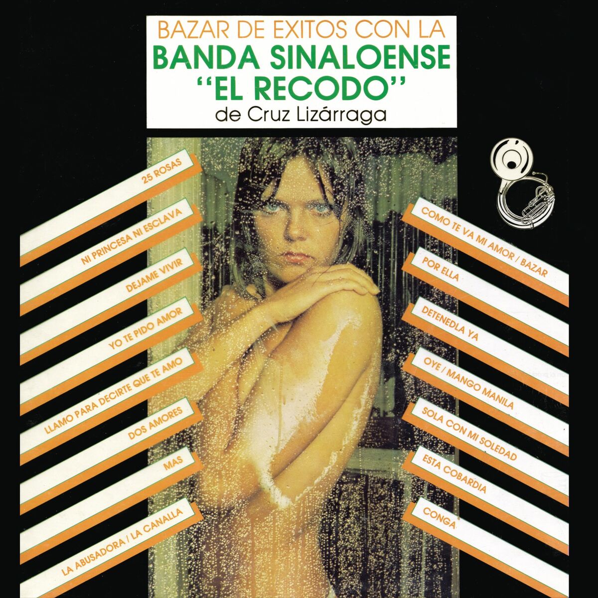 Album cover of Bazar de Éxitos Con la Banda Sinaloense el Recodo de Cruz Lizárraga
