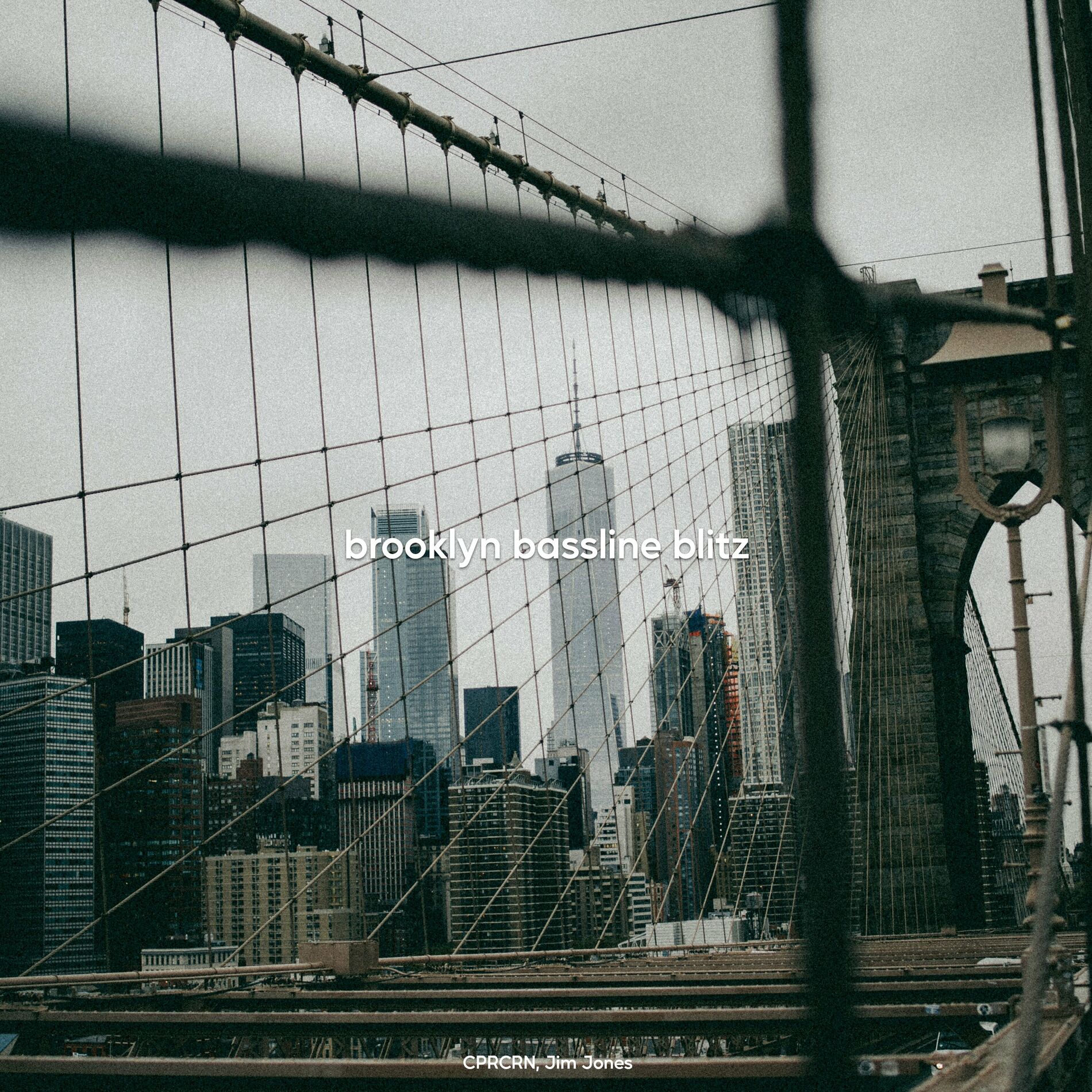 Album cover of brooklyn bassline blitz (feat. Jim Jones)