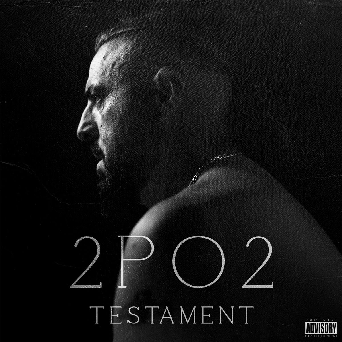 Album cover of Testament