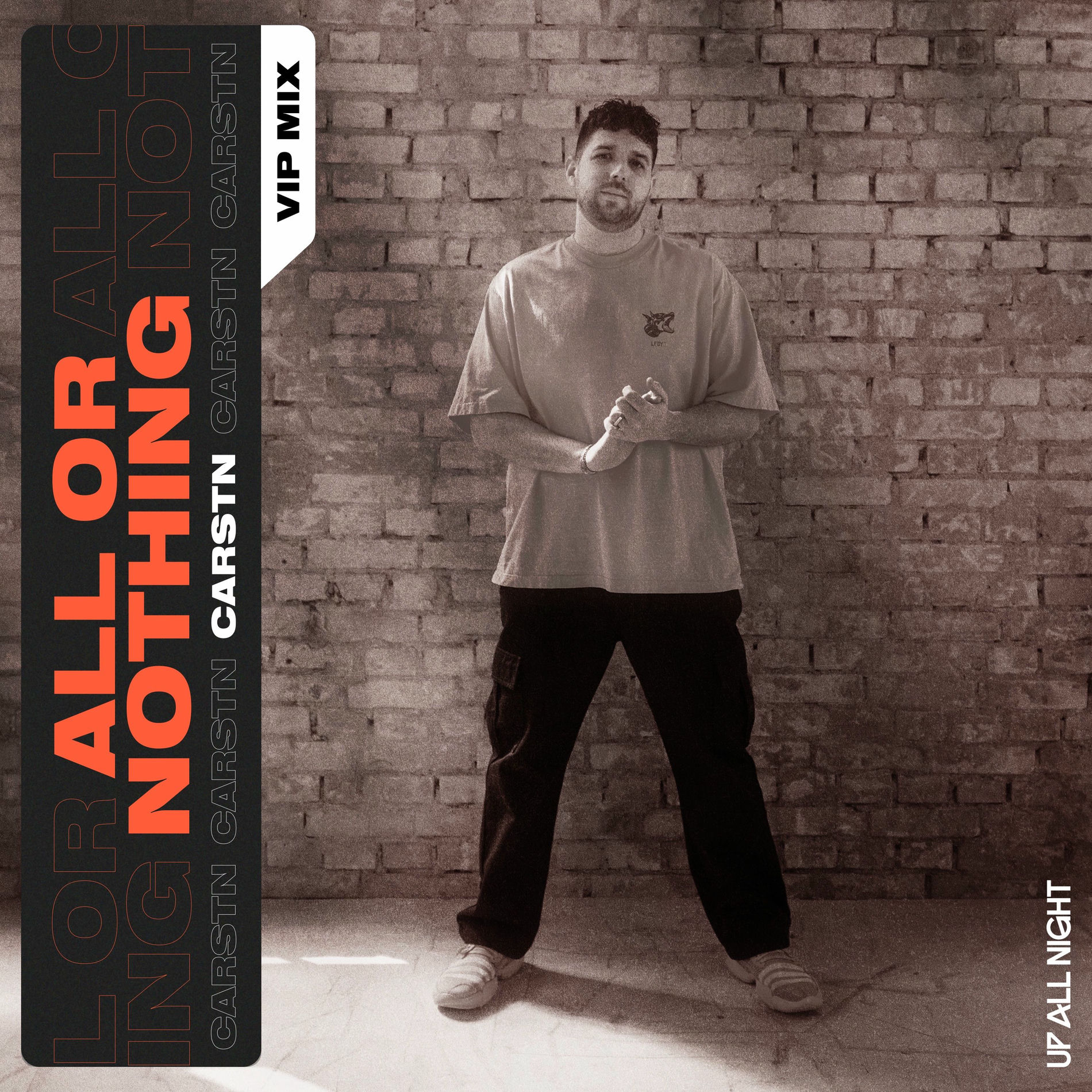 Album cover of All Or Nothing (VIP Mix)