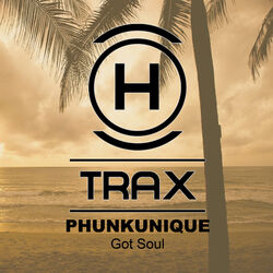 Cover of Got Soul