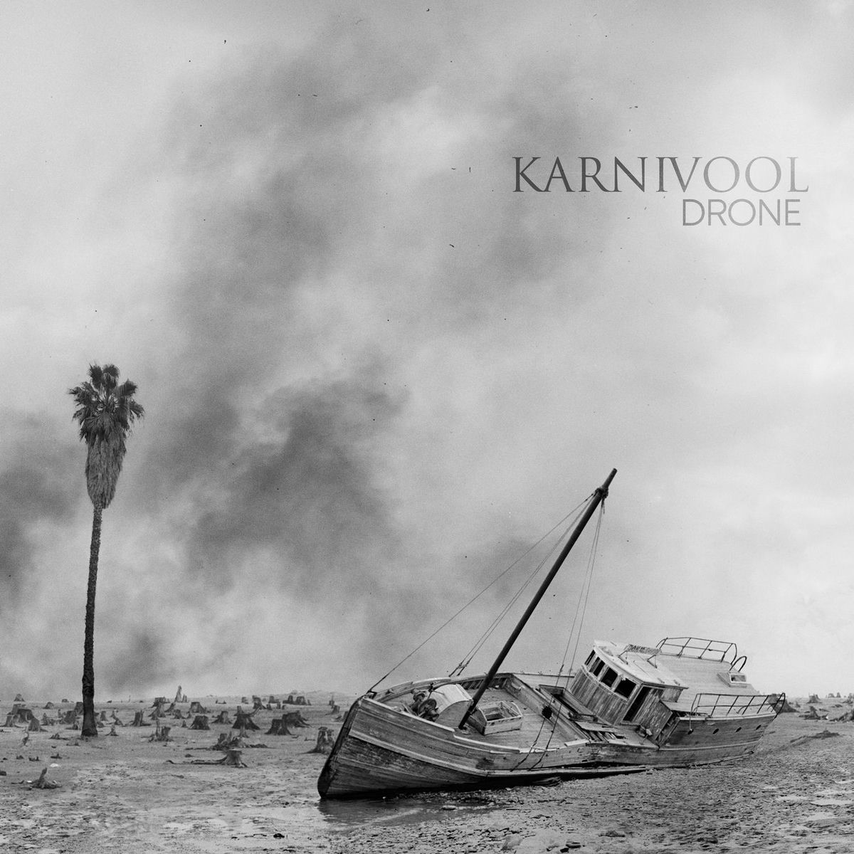 Album cover of Drone
