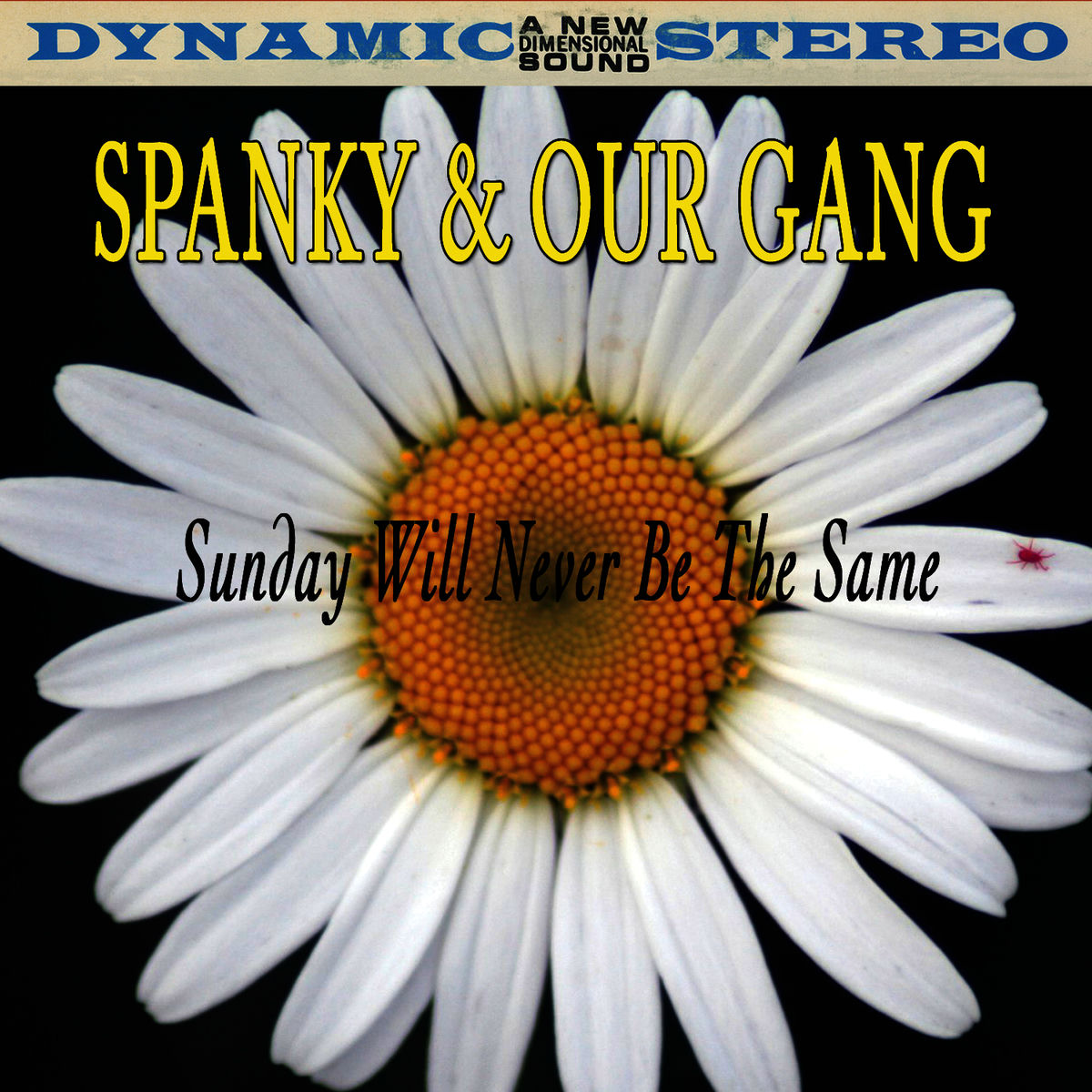 Album cover of Sunday Will Never Be The Same