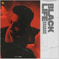 Cover of Black Life