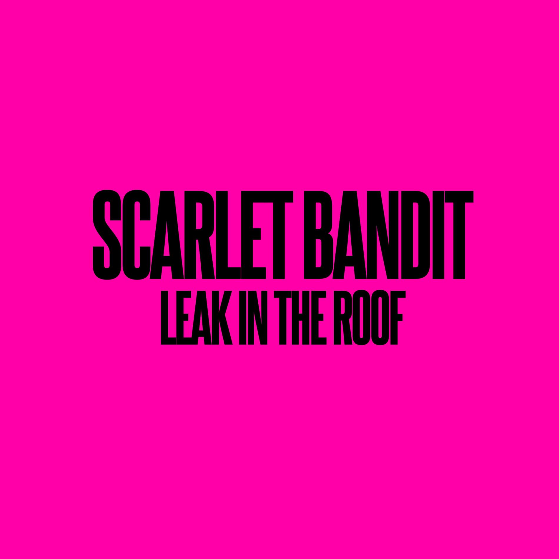 Album cover of Leak in the Roof