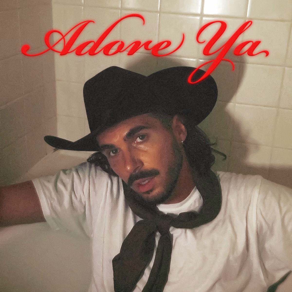 Album cover of Adore Ya