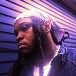 Cover of Flashing Lights