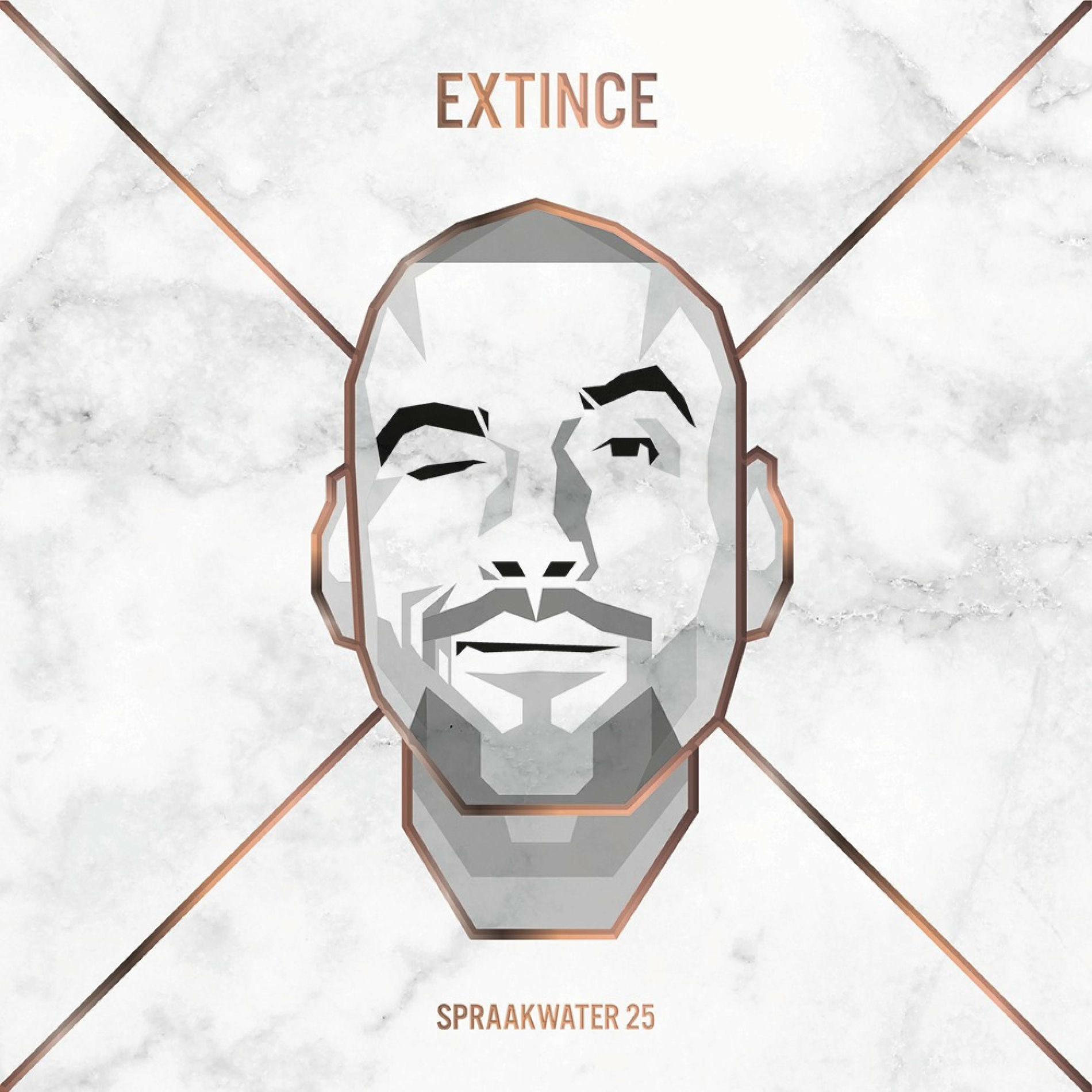 Album cover of Spraakwater 25