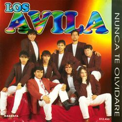 Cover of Nunca Te Olvidaré