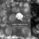 Stratosphere (Ronnie Spiteri Remix)