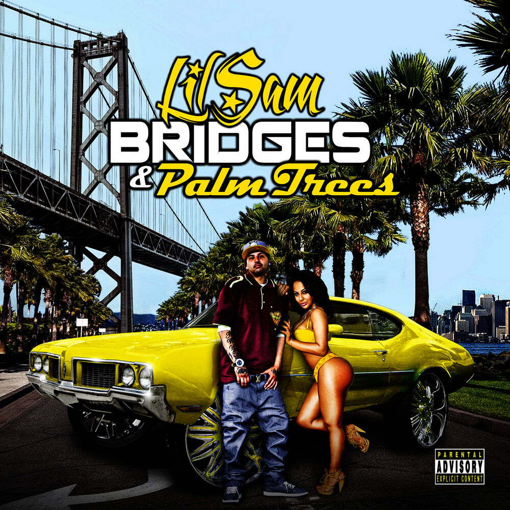 Picture of Bridges & Palm Trees