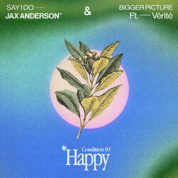 Cover of HAPPY: Bigger Picture / Say I Do