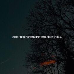 ceuxquejereconnaiscommemesfrères.