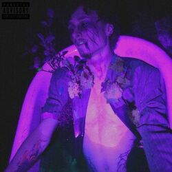 Cover of DECOMPOSITION